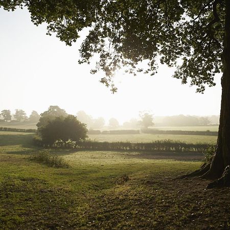 April Cottage Stow-on-the-Wold المظهر الخارجي الصورة