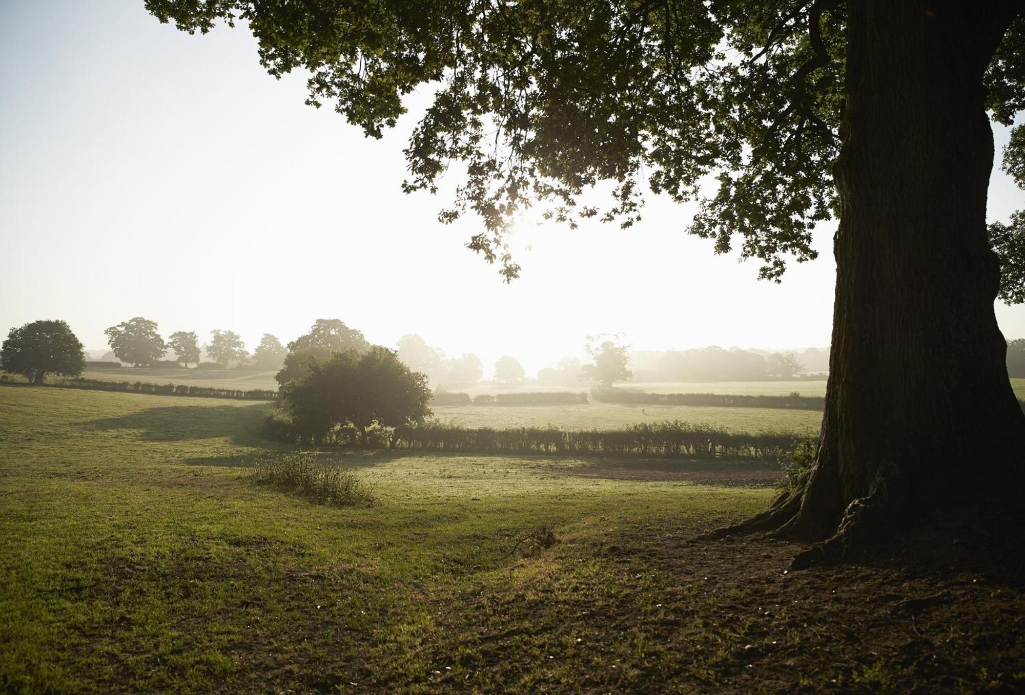 April Cottage Stow-on-the-Wold المظهر الخارجي الصورة