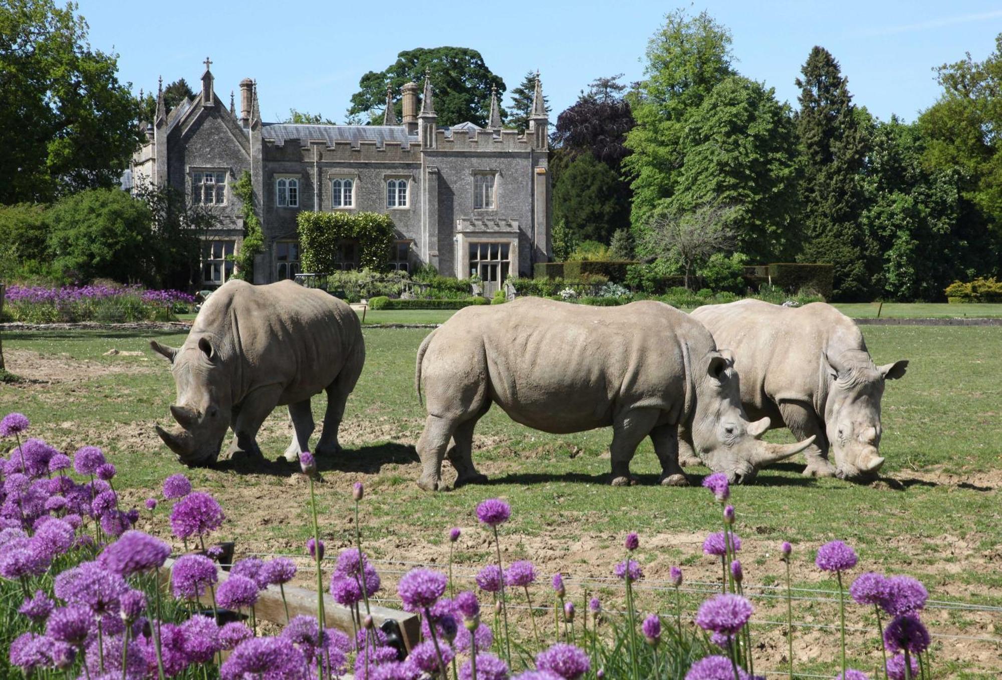 April Cottage Stow-on-the-Wold المظهر الخارجي الصورة